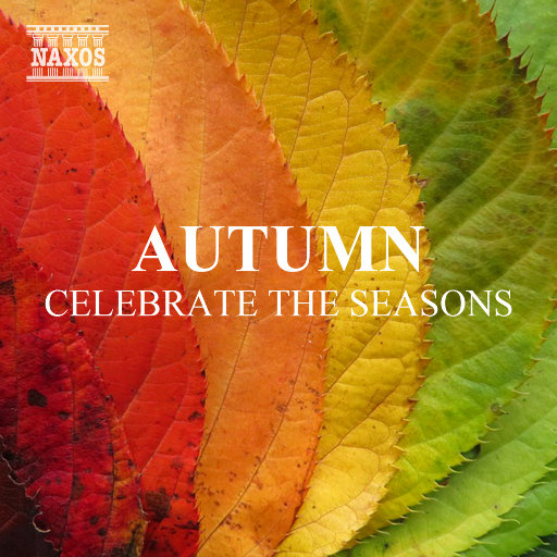 黑人与亚洲女深喉呕吐
